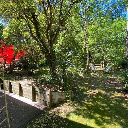 ラカノーLe Loft Au-Dessus Des Pinsアパートメント エクステリア 写真