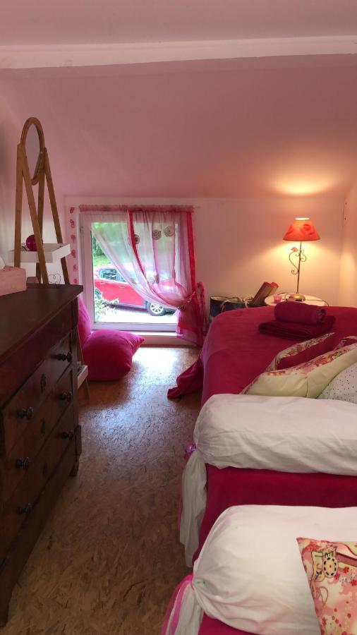 ラカノーLe Loft Au-Dessus Des Pinsアパートメント エクステリア 写真