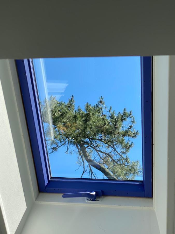 ラカノーLe Loft Au-Dessus Des Pinsアパートメント エクステリア 写真