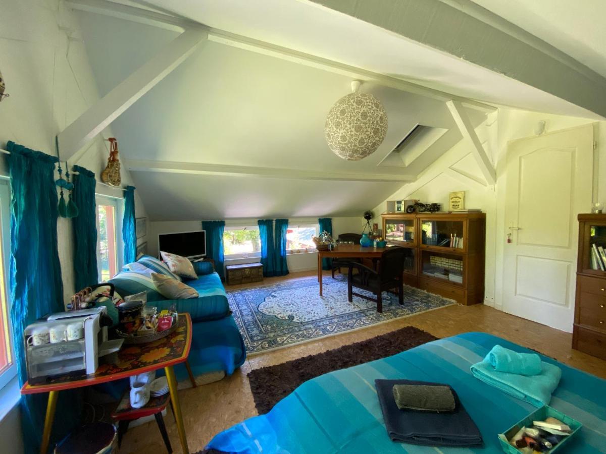ラカノーLe Loft Au-Dessus Des Pinsアパートメント エクステリア 写真