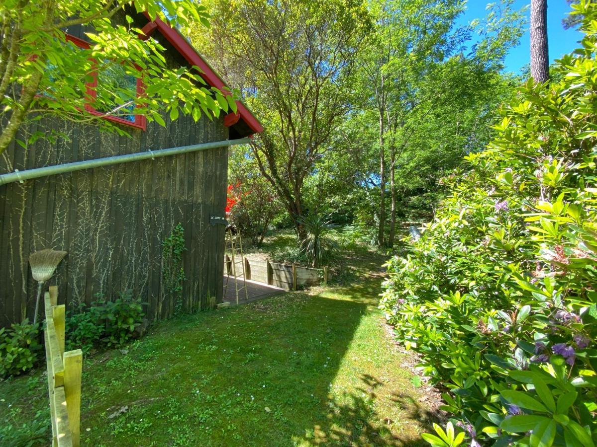 ラカノーLe Loft Au-Dessus Des Pinsアパートメント エクステリア 写真