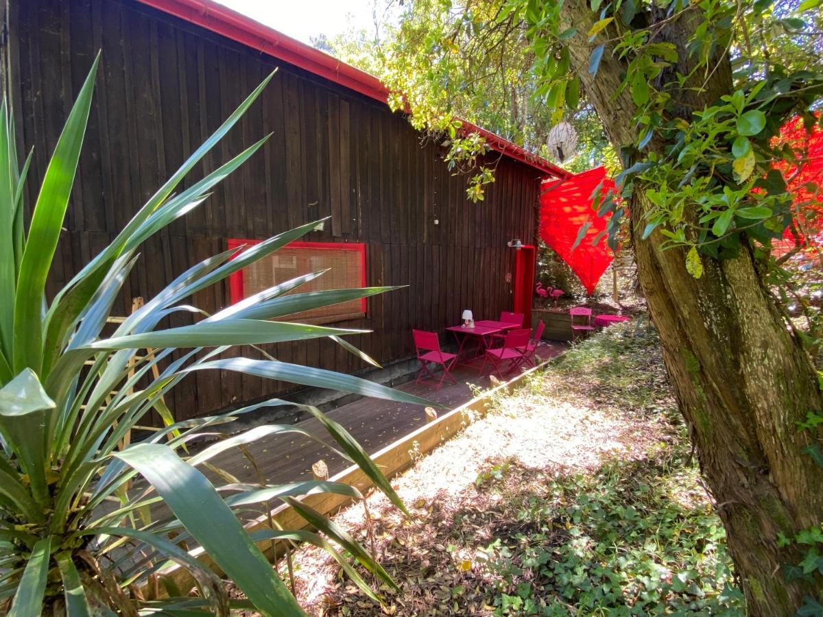 ラカノーLe Loft Au-Dessus Des Pinsアパートメント エクステリア 写真
