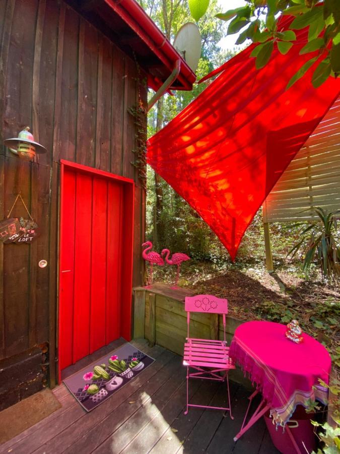 ラカノーLe Loft Au-Dessus Des Pinsアパートメント エクステリア 写真