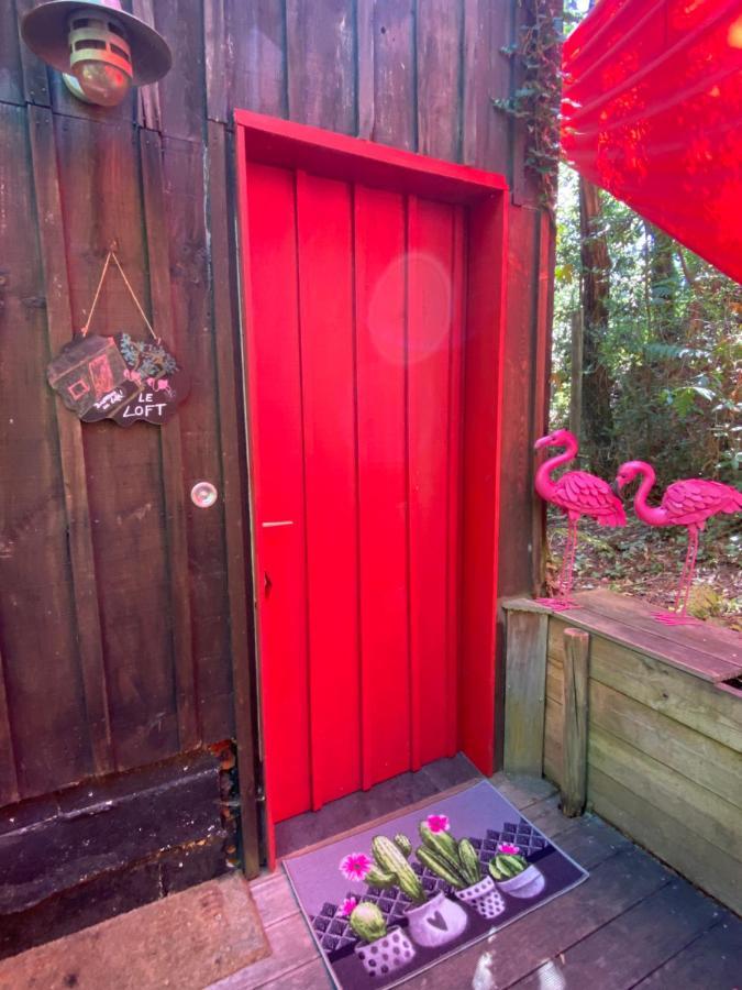 ラカノーLe Loft Au-Dessus Des Pinsアパートメント エクステリア 写真
