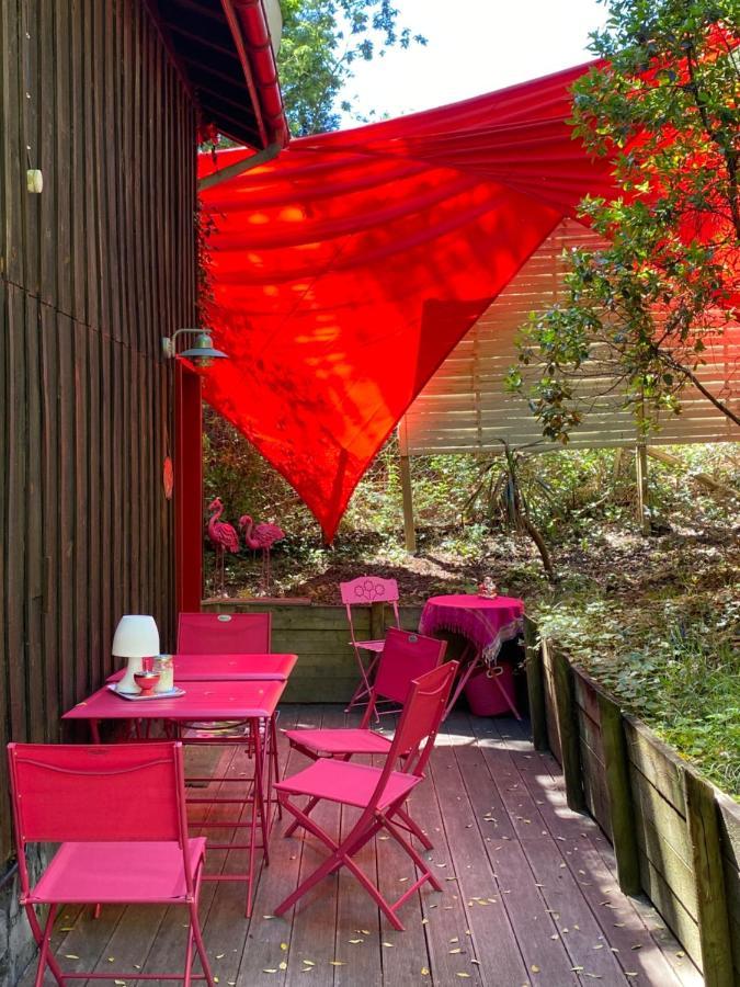 ラカノーLe Loft Au-Dessus Des Pinsアパートメント エクステリア 写真