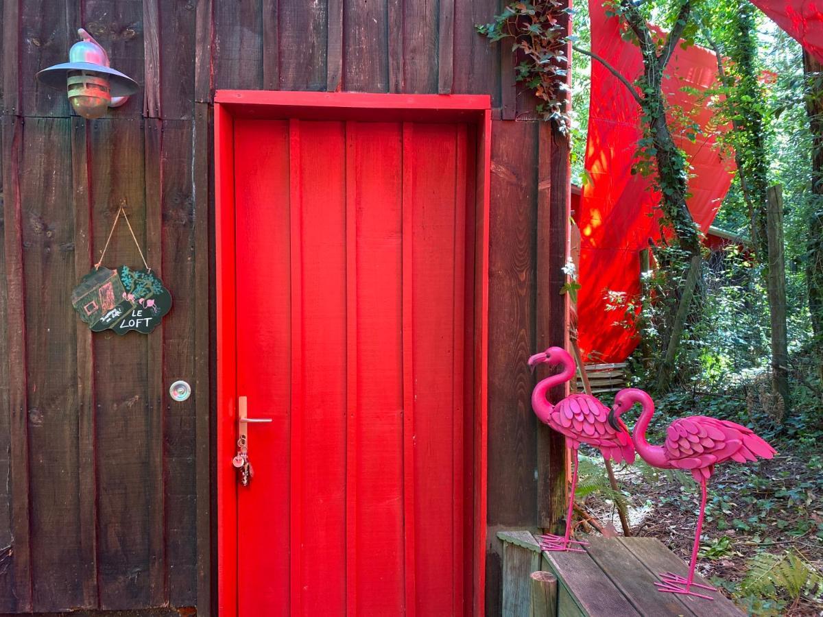 ラカノーLe Loft Au-Dessus Des Pinsアパートメント エクステリア 写真
