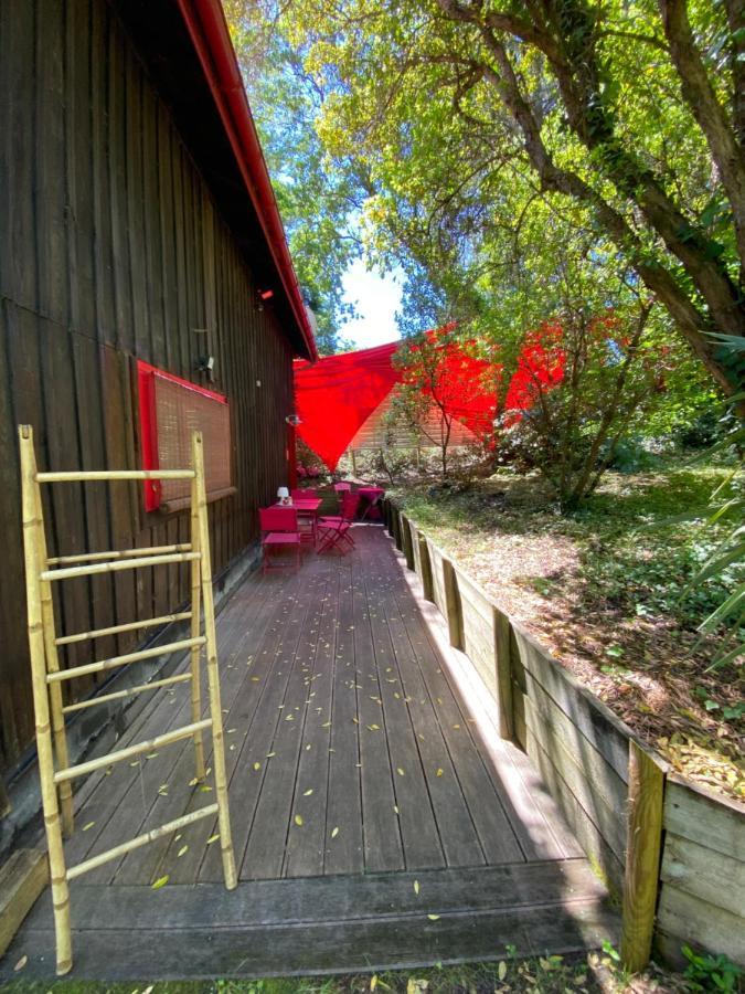 ラカノーLe Loft Au-Dessus Des Pinsアパートメント エクステリア 写真